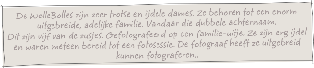 De WolleBolles zijn zeer trotse en ijdele dames. Ze behoren tot een enorm uitgebreide, adelijke familie. Vandaar die dubbele achternaam.
Dit zijn vijf van de zusjes. Gefotografeerd op een familie-uitje. Ze zijn erg ijdel en waren meteen bereid tot een fotosessie. De fotograaf heeft ze uitgebreid kunnen fotograferen..