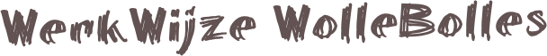 WerkWijze WolleBolles